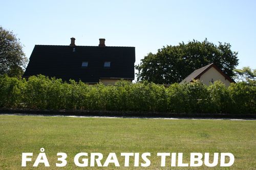 Gartner tilbud - 100% gratis og uforpligtende